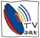 Televisión vía satélite Televisión vía satélite